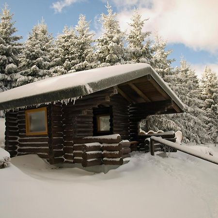 גוסלר Modern & Vintage Bocksbergblick Ferienpark Hahnenklee מראה חיצוני תמונה