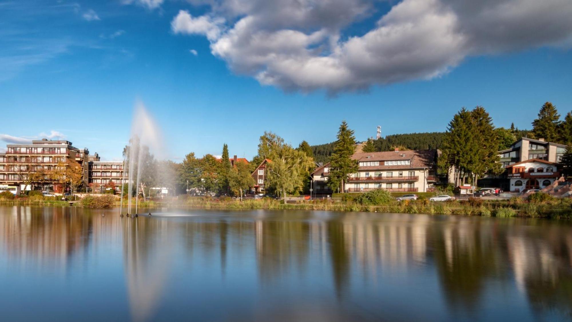 גוסלר Modern & Vintage Bocksbergblick Ferienpark Hahnenklee מראה חיצוני תמונה